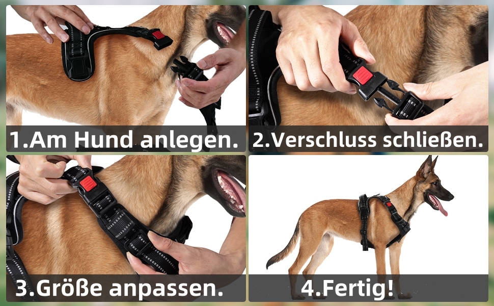 Нашийник для собак BaoCheng Anti Pull, дихаюча сітка, 3 пряжки, безпека, полегшення кашлю, світловідбиваючий, M, темно-зелений