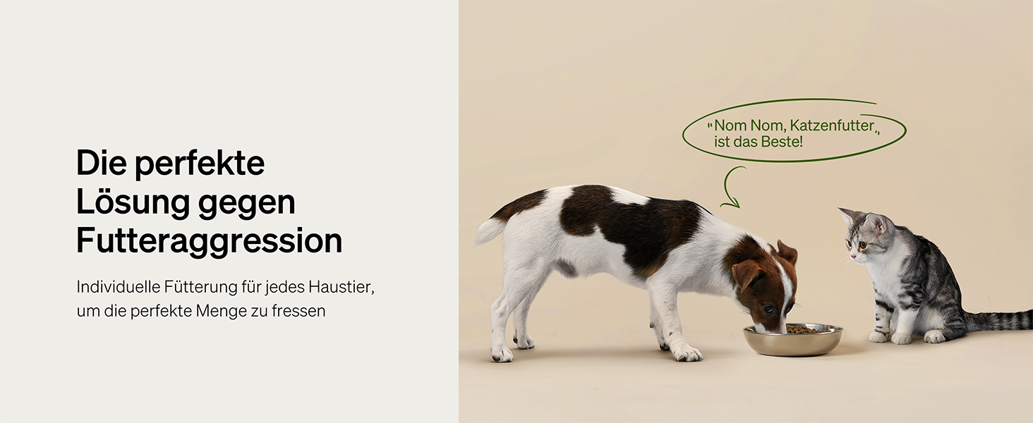 Автоматичний годівник для котів PETLIBRO з RFID-чіпом, Wi-Fi, 3L, з App-управлінням