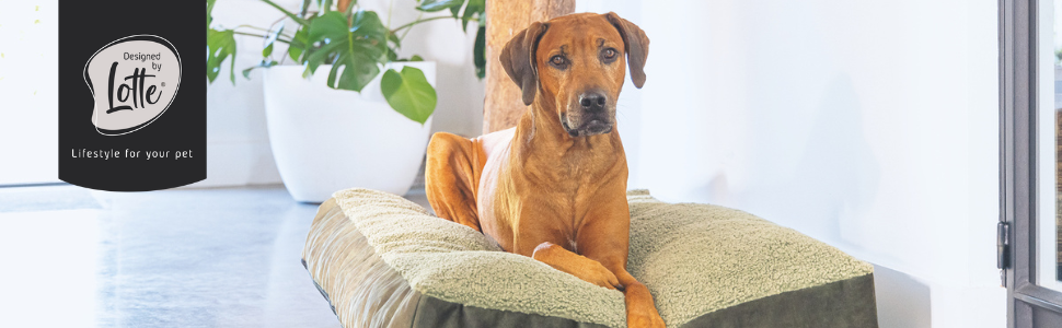 Подушка для собак Lotte Nalino, велюр, сіра, 70x55x15 см
