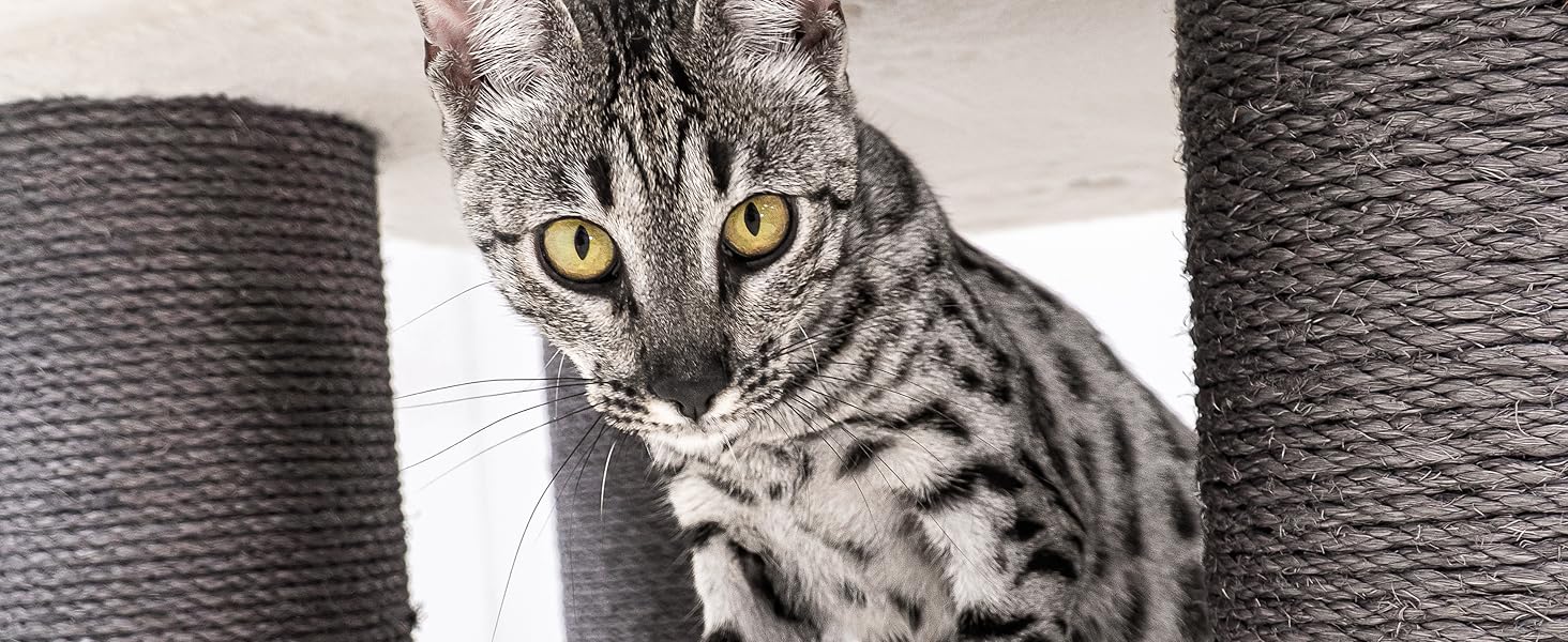 Дряпак для котів Petrebels Skyline XXL, 186 см, для великих котів (Мейн-кун), колір - off-white