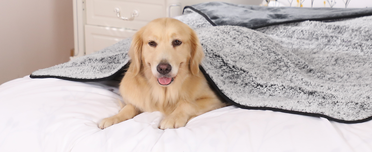 PETTOM Деки для собак Водонепроникні, Деки для собак на диван 152 x 127 см, Деки для собак з Sherpa та Flanell, Деки для домашніх тварин М'які, Можна прати в пральній машині L: 152*127 см Темно-сірий