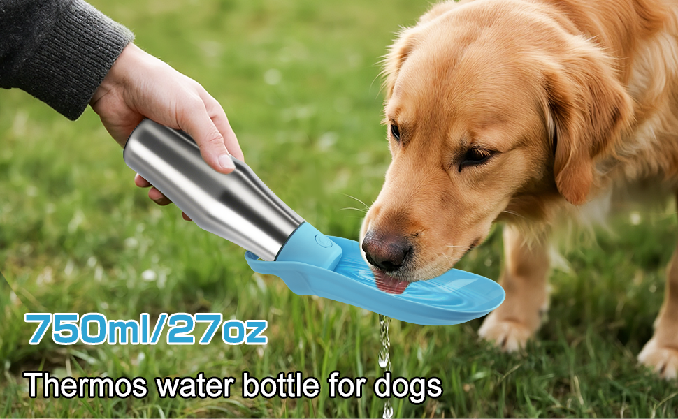 Водяна пляшка для собак на прогулянці - витокозахисна, з нержавіючої сталі, подвійні стінки, вакуумна ізоляція, 750 мл (Блакитна)