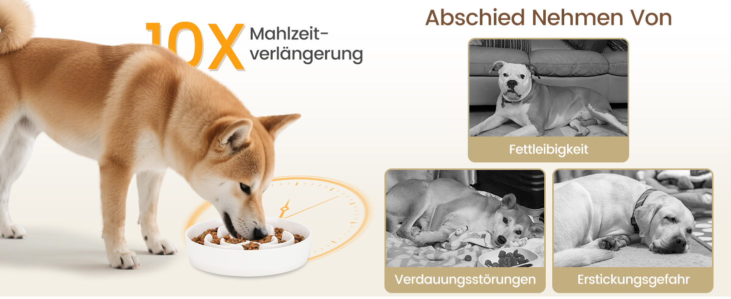 PETTOM Миска для собак протиковтання, кераміка, Ø 21 см, для великих та малих собак, Slow Feeder, білий