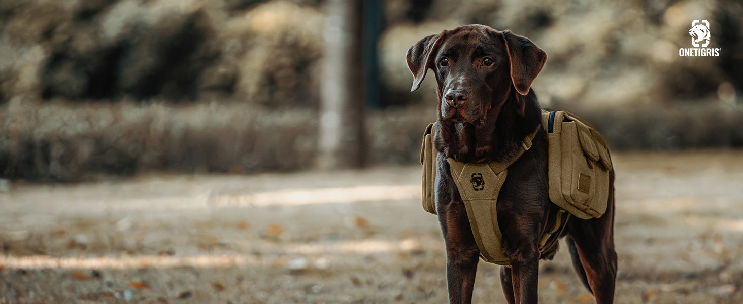 Шлейка для собак OneTigris з рюкзаком, Hoppy Camper 3.0, для кемпінгу та піших прогулянок, зелена, L