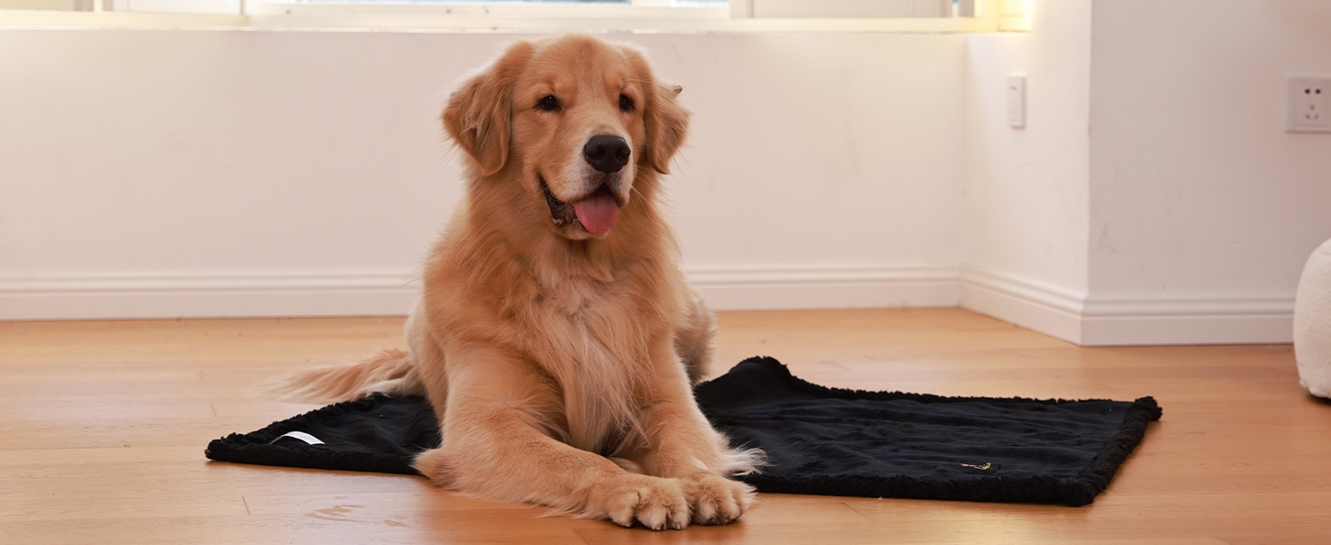 Водонепроникний килимок для собак Luciphia, плюшевий, з флісу, для дому та вулиці, захисний для дивану, ліжка, автокрісла, меблів, сірий, розмір L (145 x 165 см)