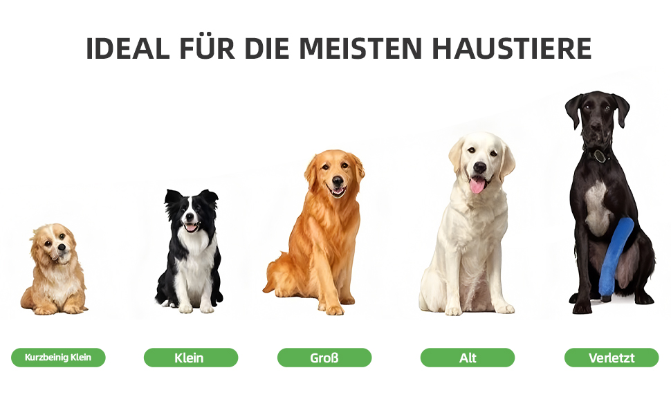 Рампа для собак Hunderampe Auto Klappbar: складана, 170 см, з антиковзким покриттям для собак маленьких, середніх та великих порід. Підходить для авто, SUV, вантажівок, диванів та ліжок