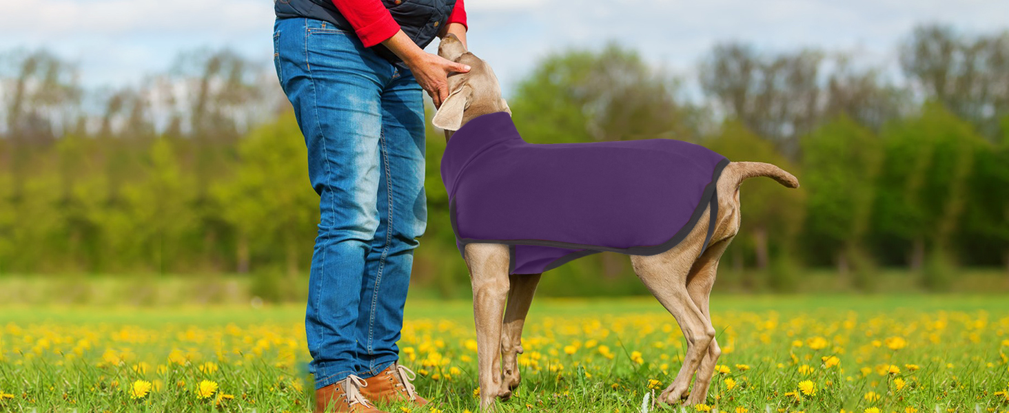 Теплий пуловер для собак, флісовий халат, зимовий халат для собак, пуловер для маленьких, середніх та великих собак - бордовий (S)