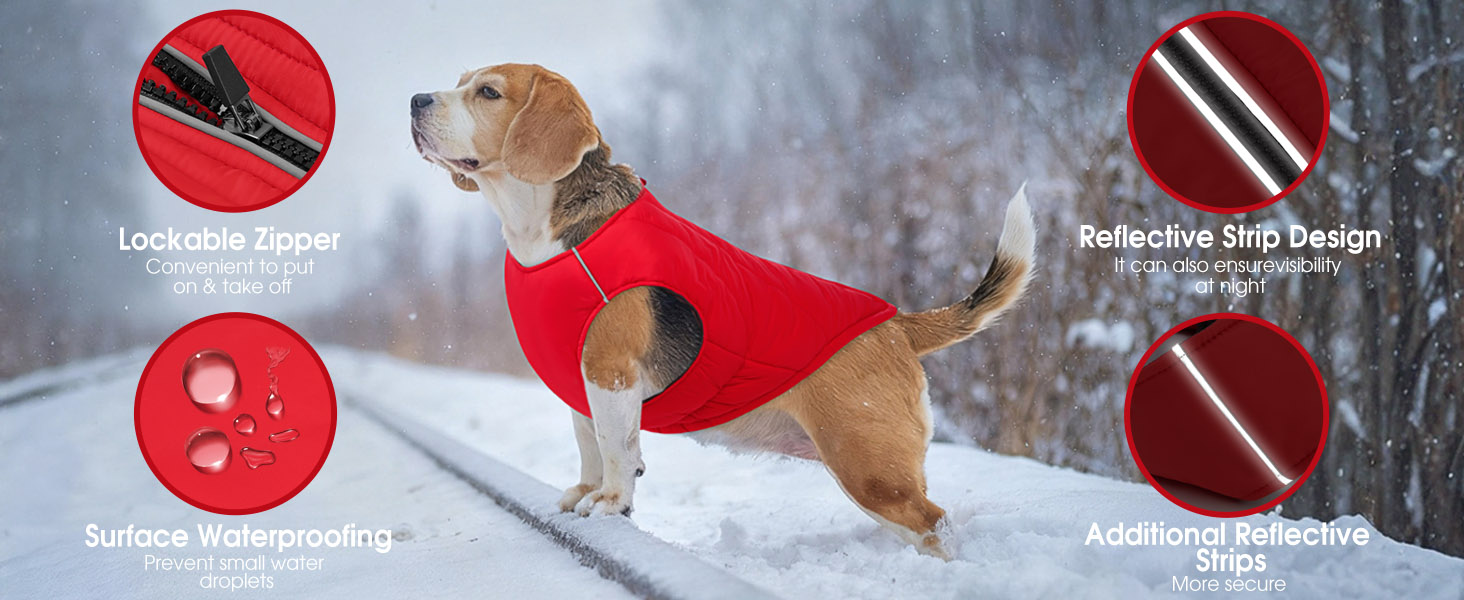 Водонепроникна куртка для собак - тепла зимова модель з блискавкою для малих, середніх та великих собак. Синій колір, розмір S.