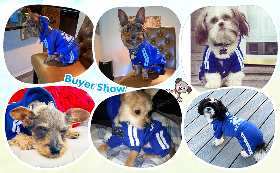 Теплий пуловер для собак на осінь-зиму: м'яка флісова куртка для чихуахуа, тедді та інших маленьких та середніх порід. Бавовняний костюм для собак та котів (L, темно-синій)