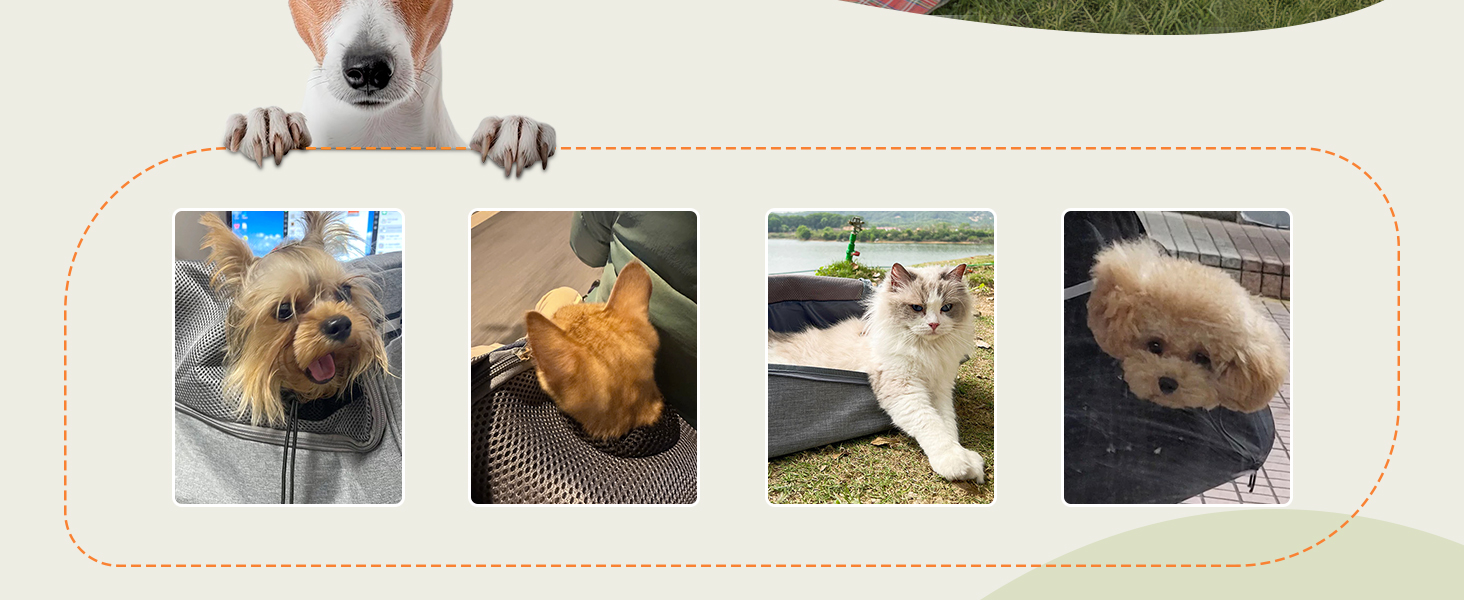 Траверс для собак ALLSOPETS: регульована переноска для маленьких собак та котів з жорстким дном та вентиляцією, сіра