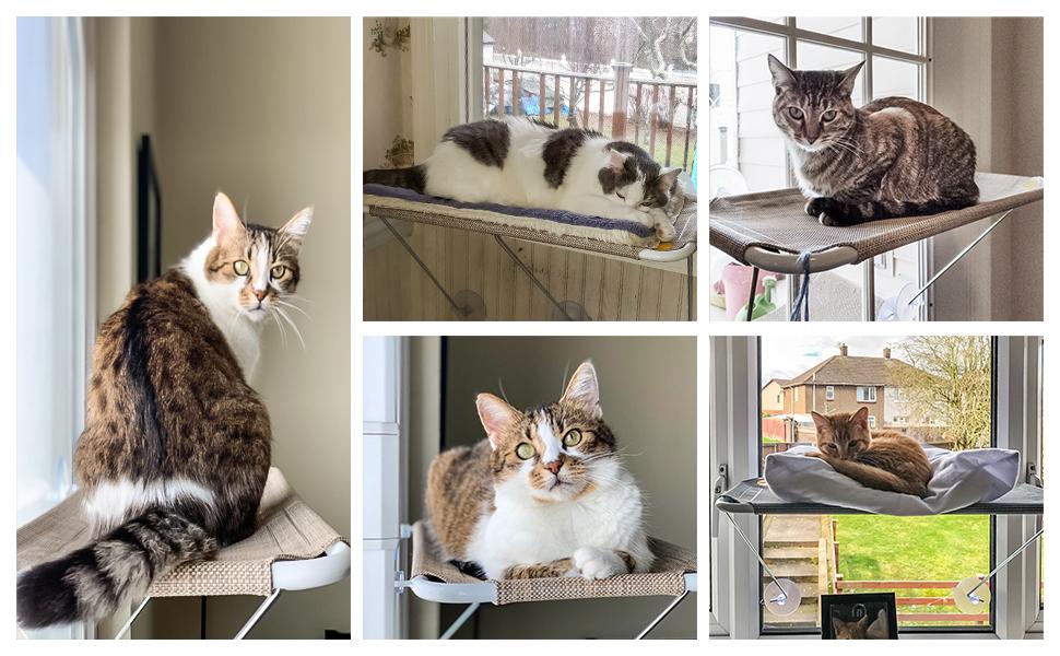 Кіт-гамак для вікна LSAIFATER 360° з металевими опорами, чорний