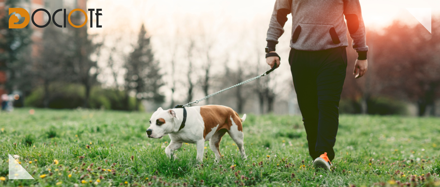Водонепроникний собачий плащ/куртка з отвором для коміра, на липучках, з флісовою підкладкою, зі світловідбиваючими елементами, зимовий, для середніх та великих собак, чорний, 4XL, 1 шт.