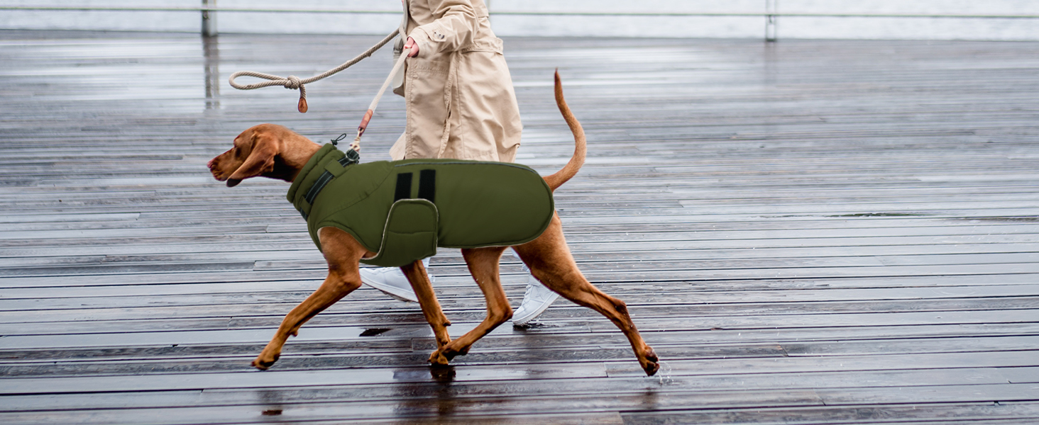 Зимова куртка для собак IECOii, тепла, водонепроникна, регульована, з відбиваючими елементами, фіолетова, XL