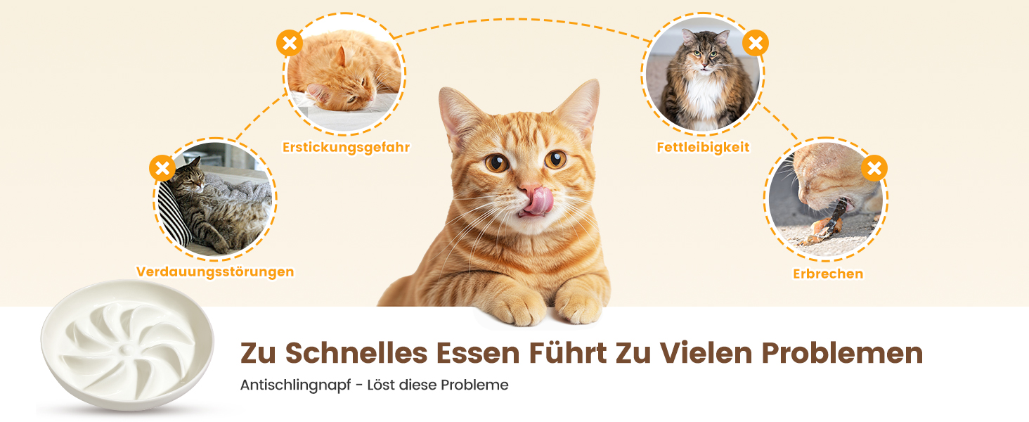 PETTOM Миска для котів протиковзаюча, піднята, керамічна, для повільного годування, біла. Підходить для котів та маленьких собак.