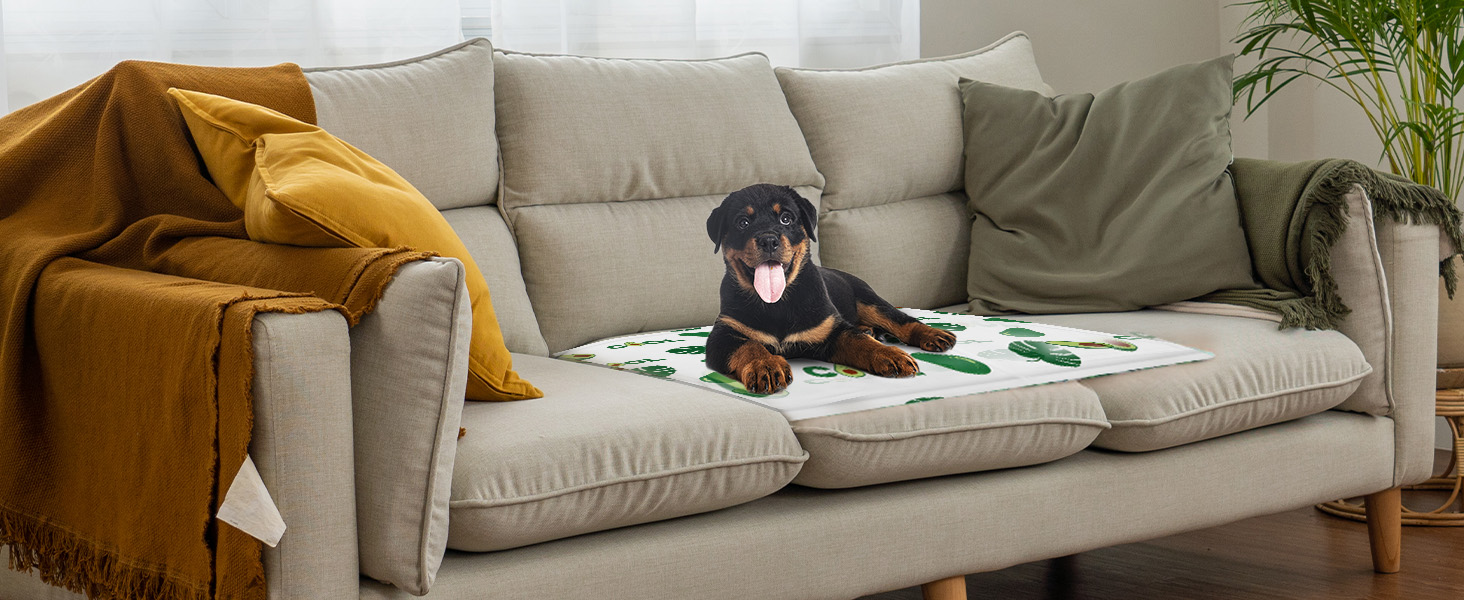 Кілим-охолоджувач для собак та котів Ninonly 50 x 65 см - самоохолоджуючий, водонепроникний, з нетоксичним гелем (Авокадо)