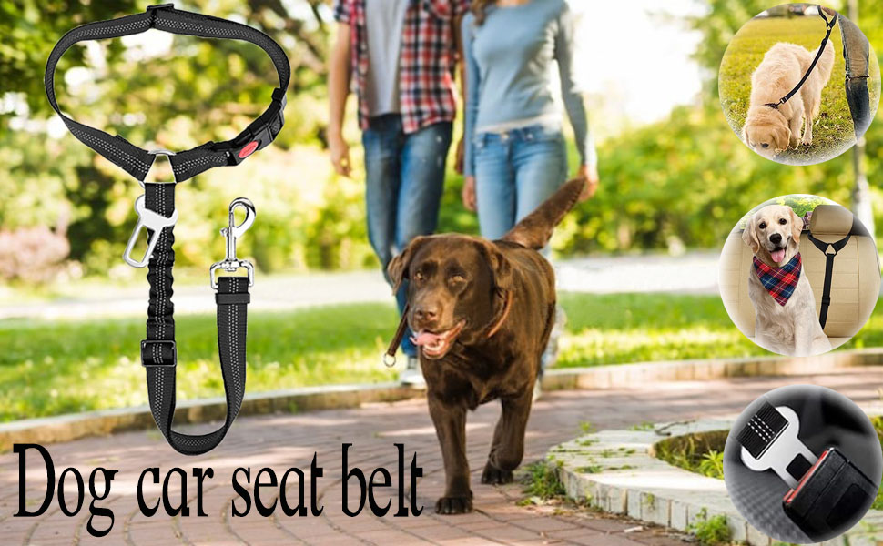 Ремінь для собак у багажник авто, 2 шт. - безпечна фіксація, для подорожей та транспортування, з еластичною амортизацією та міцними карабінами, підходить для всіх порід собак та котів