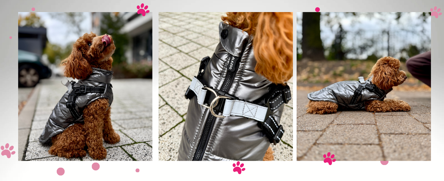 Водонепроникна куртка для собак 2-в-1 зі вбудованим шлейкою – зимова куртка з відбиваючими елементами для собак маленьких, середніх та великих порід – вітронепроникна, зручна та легка у догляді, сіра, розмір S