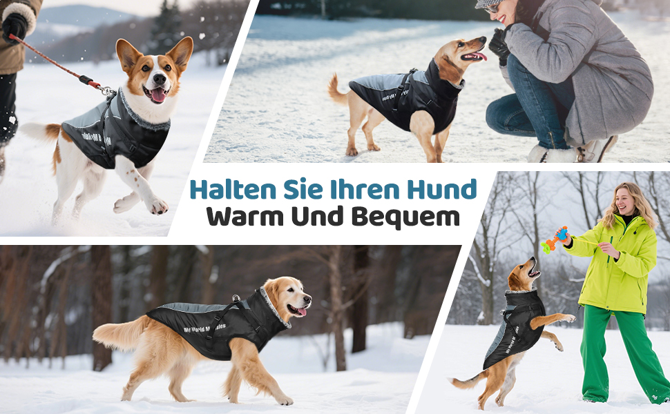 Зимовий теплий куртка для собак, водонепроникний, з кріпленням для повідка, для середніх собак (2XL)