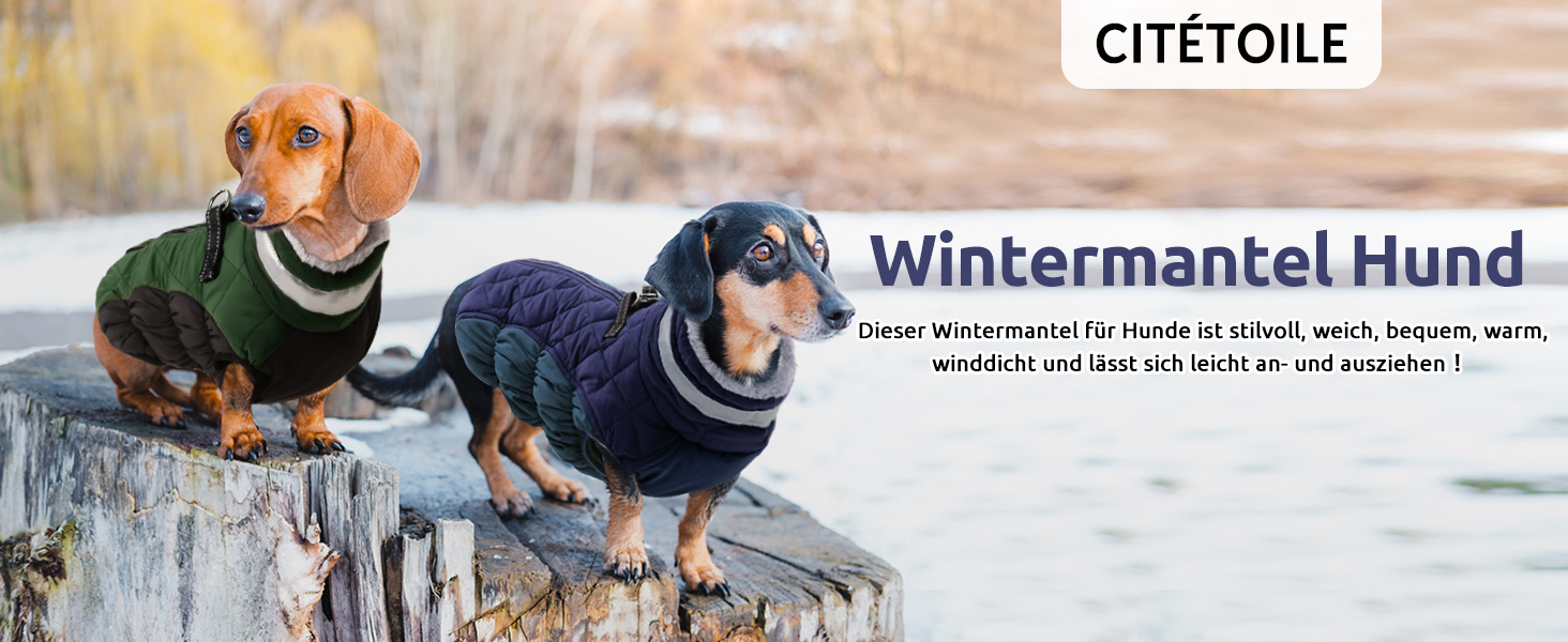 Зимовий одяг для собак CITETOILE: теплий водонепроникний жилет з флісовою підкладкою та світловідбиваючими елементами (М, темно-синій)