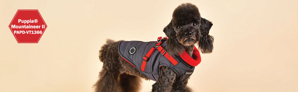 Водонепроникний теплий дощовик для собак Пуппія, сірий, XL - з підкладкою з флісу, з отвором для шлейки