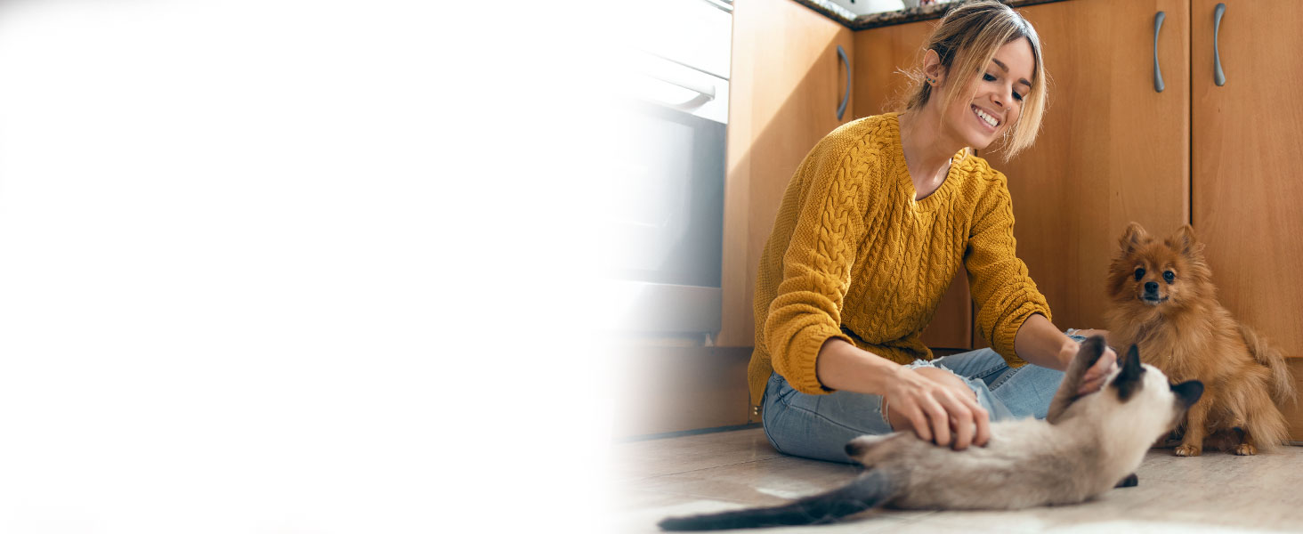 BluePet Очищувач для лап собак - видаляє бруд та сміття I З мікрофібровою рукавичкою I PfotenBlitz Розмір L (глибоке очищення, догляд за лапами)