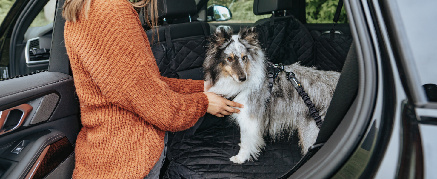 Автомобільний ремінь безпеки для собак Rudelkönig - регульований, чорний