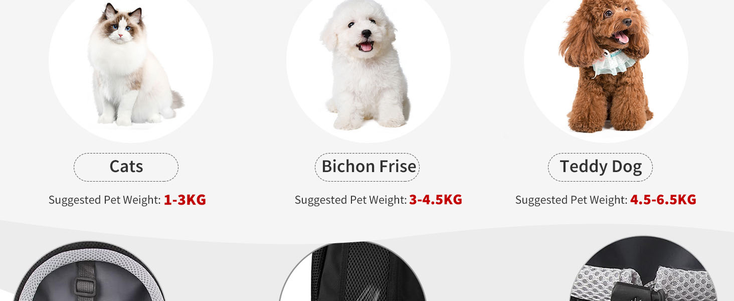 PETCUTE Рюкзак-переноска для собак і котів, блакитний, з регульованим ременем, водонепроникним дном та дихаючою передньою кишенею