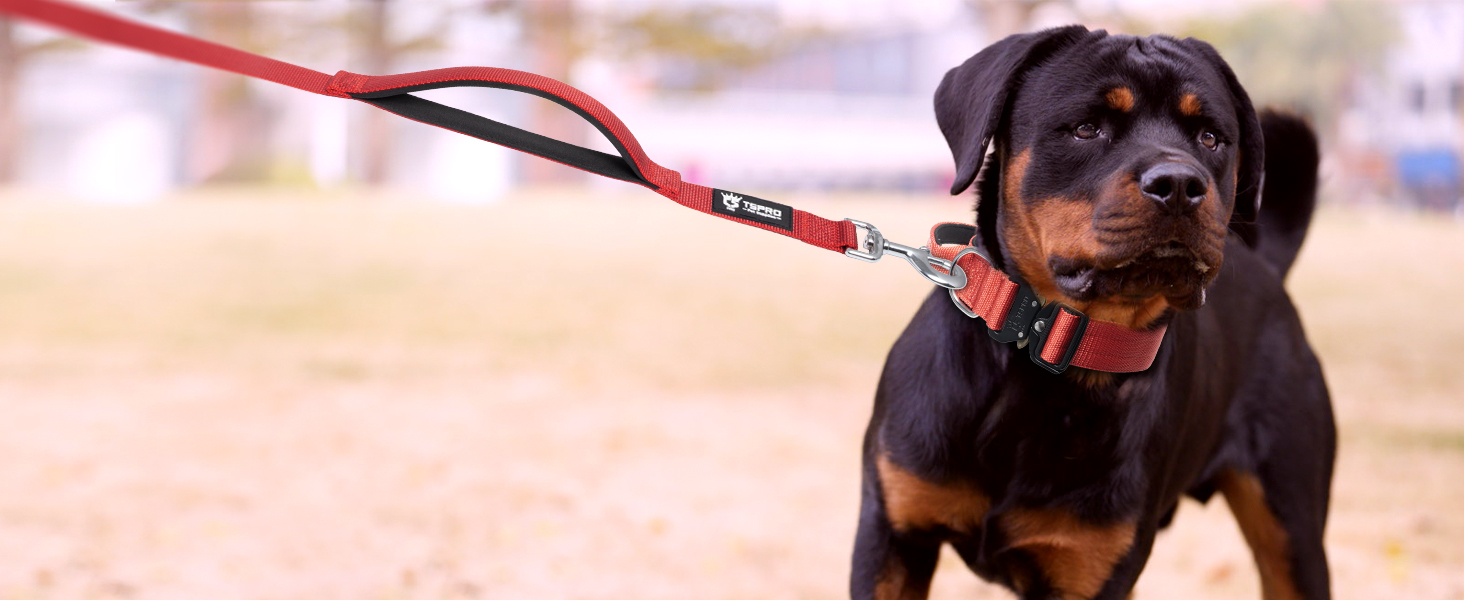 TSPRO Преміум нашийник для собак з ручкою, тактичний, товстий, регульований, для середніх та великих собак (Помаранчевий L), розмір ручки L, регулювання 44.5-62.2 см