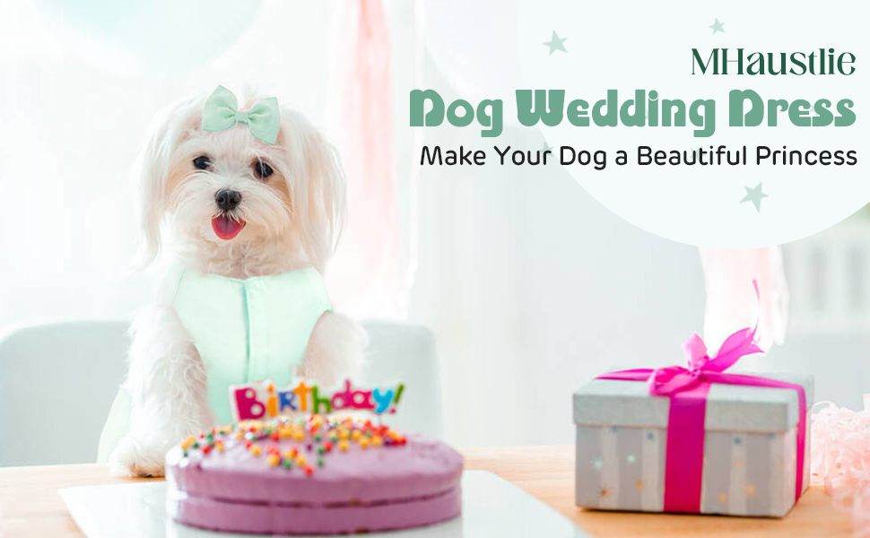 Сукня для собак на весілля: розкішний плаття для цуценят, літнє вбрання принцеси, сукня з бантиком для маленьких дівчаток (XL, Зелений)