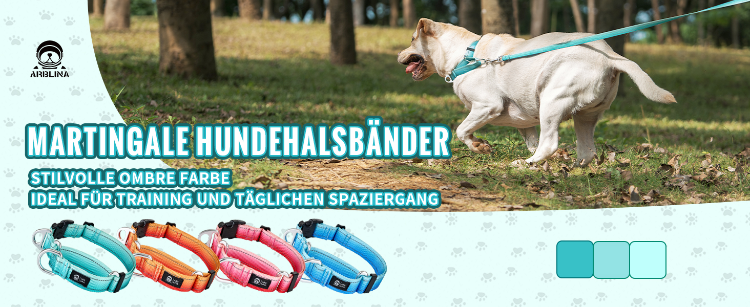 Відбиваюче нашийник для собак Martinage, нашийник-стоп для собак великих, середніх та малих порід, нашийник-стоп для Whippet, Greyhound, Saluki (Турквіс, S)