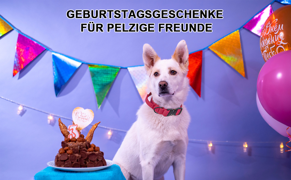 Нашийник для собак Vivi Bear тактичний, регульований, з контролем, нейлон, неопрен, для великих собак, червоний, розмір L