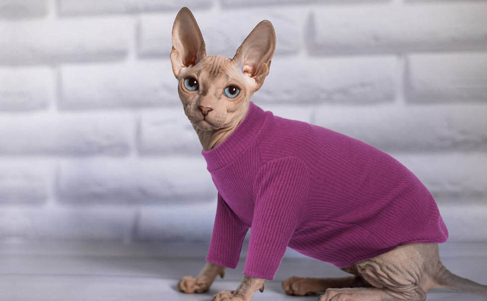 Одяг для безшерстних котів Sphynx: м'який пуловер з ролeкроєм та футболка з круглим вирізом (Чорний, XXL)