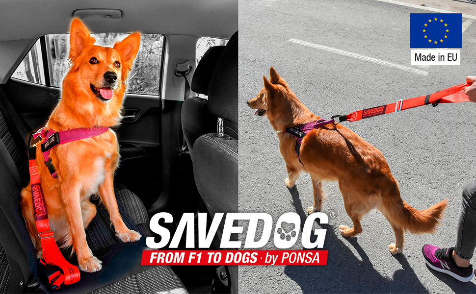 PONSA SAVEDOG: Безпечний поводок-переноска для собак. Міцний, вантажопідйомність 1000 кг, відповідає ISO 27955:2010