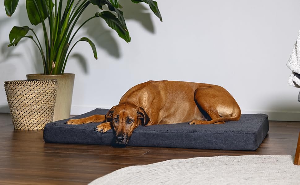 Ортопедичне ліжко для собак Beeztees Zira, темно-сірий, 75x50x9 см