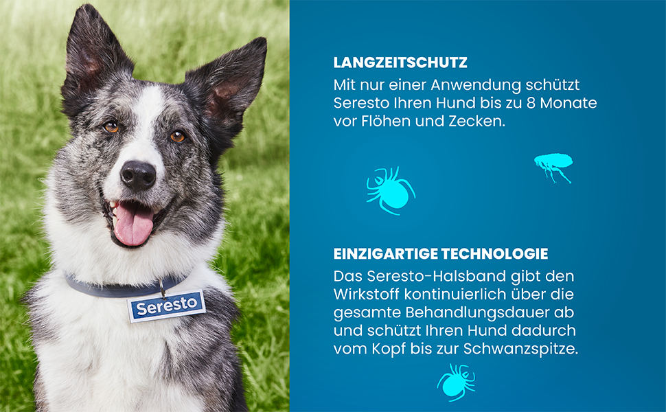 Нашийник Seresto® від Elanco для великих собак (від 8 кг): захист від бліх та кліщів на 7-8 місяців, довжина 70 см, вага 4,50 г + 2,03 г, 1 шт.