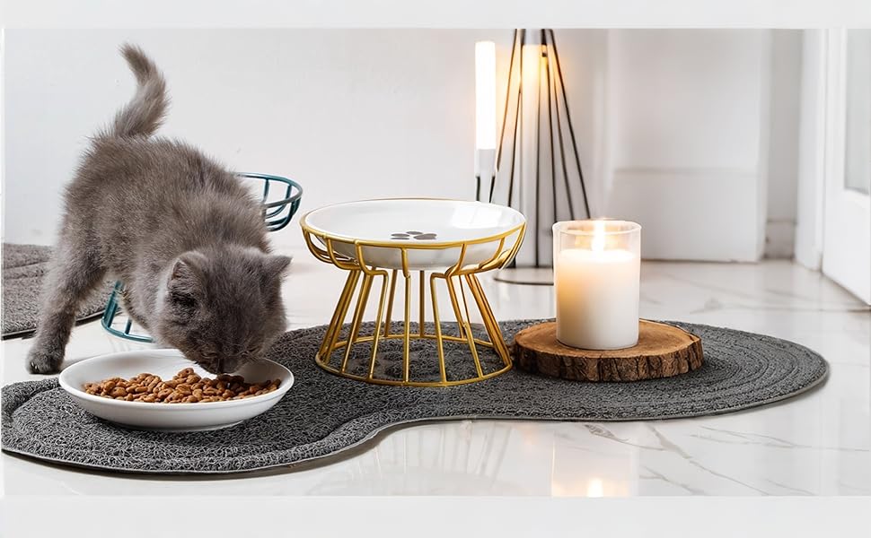 Набір мисок для котів, 2 шт., чорні, підняті, запобігають болю в шиї, широкі, антиблювотні, з антиковзним килимком