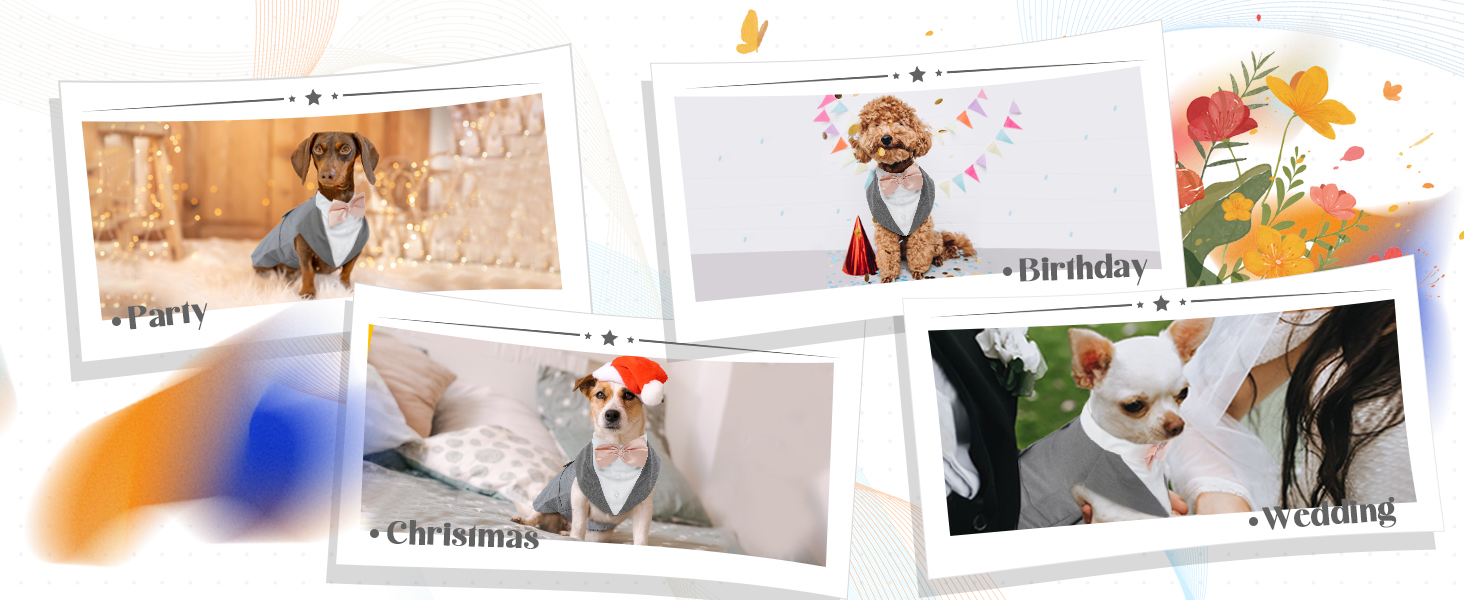 Костюм для собак