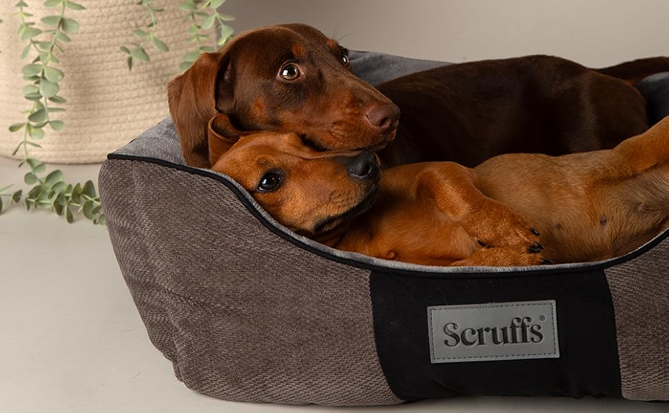 Scruffs Chester Bed L - ліжко для собак, шоколадний колір, 75 x 60 x 18 см