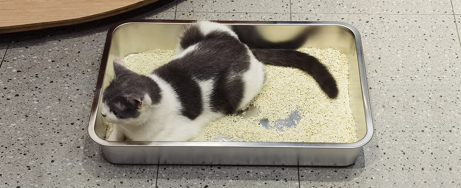 IKITCHEN Великий лоток для котів з нержавіючої сталі (50x35x20 см), туалет для котів та кроликів, без запаху, без плям, антикорозійний, з гладкою поверхнею та антиковзким гумовим дном