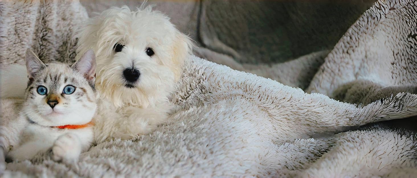 Клітка для хом'яків, морських свинок та шиншил, з відкривною кришкою та вентиляційними отворами