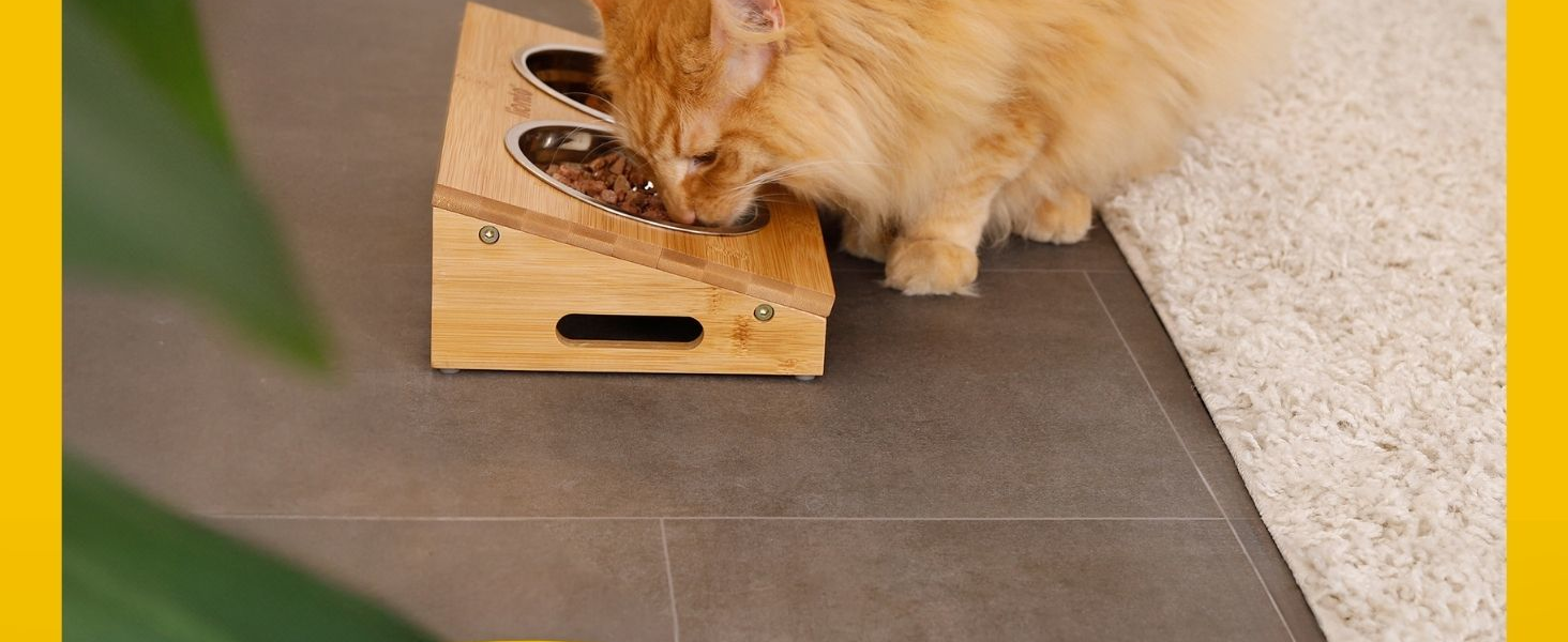 Підвищений годівниця для собак Lionto з бамбуку, 35x20x10 см, подвійний набір мисок для собак та котів, 2 миски з нержавіючої сталі Ø 14 см, об'єм кожної миски 250 мл, неслизька та щадяча суглоби