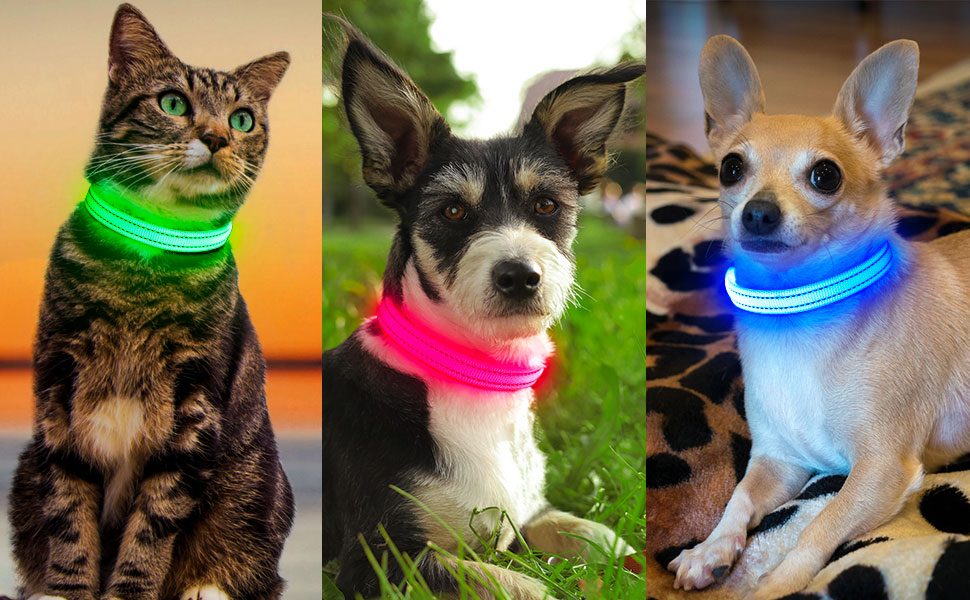 LED-нашийник для собак KOSKILL: перезарядна модель USB, водонепроникний, яскравий, регульований, для середніх та великих собак (зелений, рожевий)