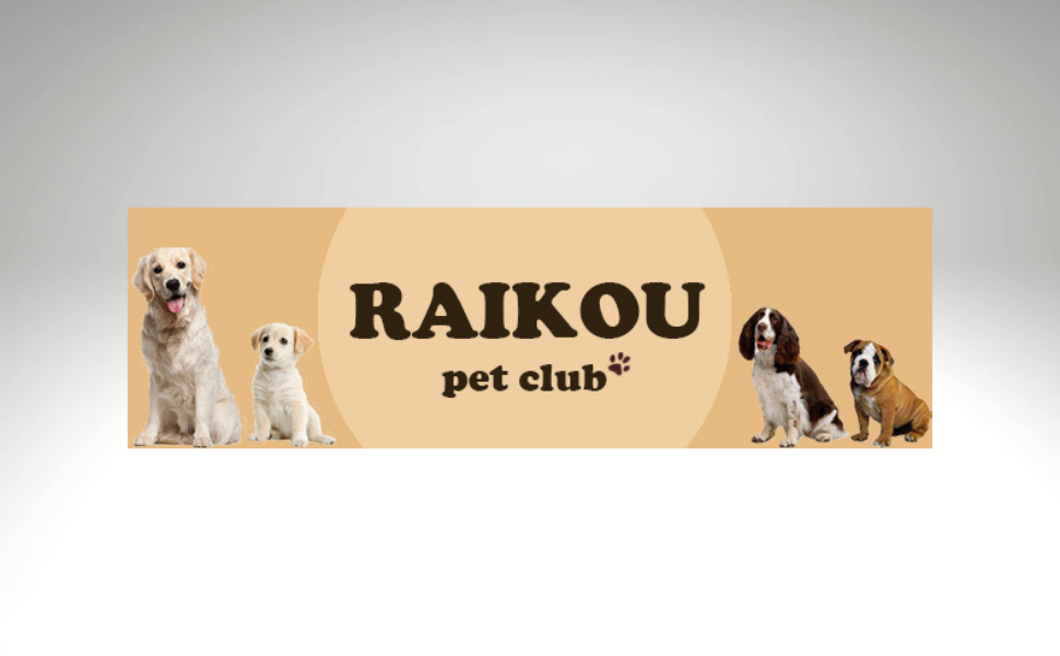 Райкоу - лежанка для собак з знімним подушкою, м'яка та миється. Лежанка, подушка для собак, собаче ліжко, килимок - високоякісне місце для сну для вашого вірного друга. (Темно-сірий, 80 * 60 * 7 см)