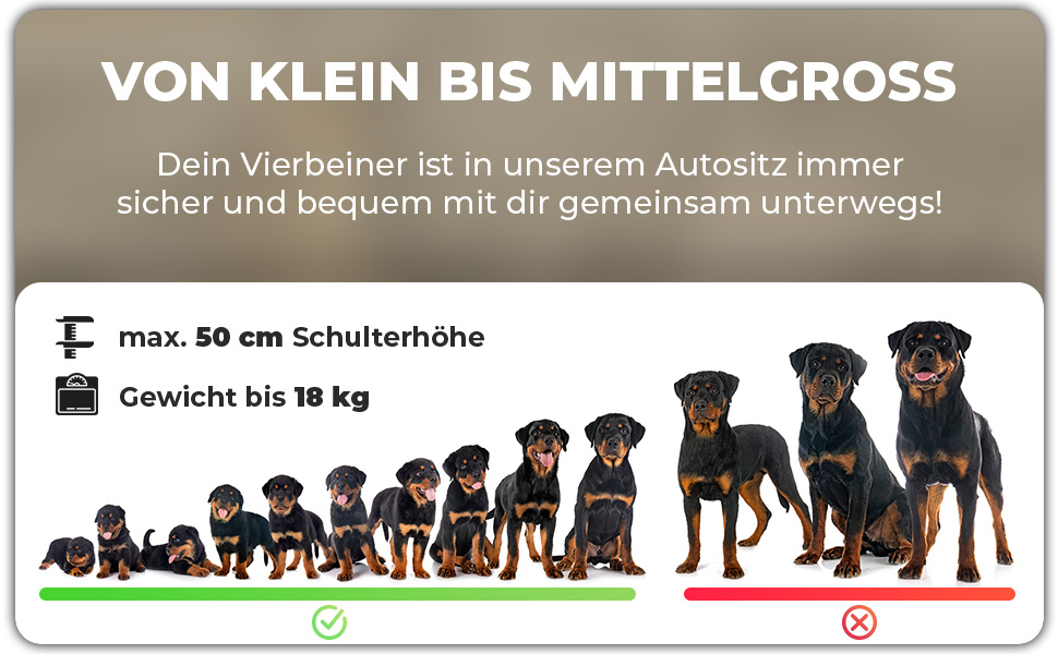 Автокрісло для собак середнього розміру Fell&bell, чорного кольору | 2-в-1, зручне та стильне, для подорожей