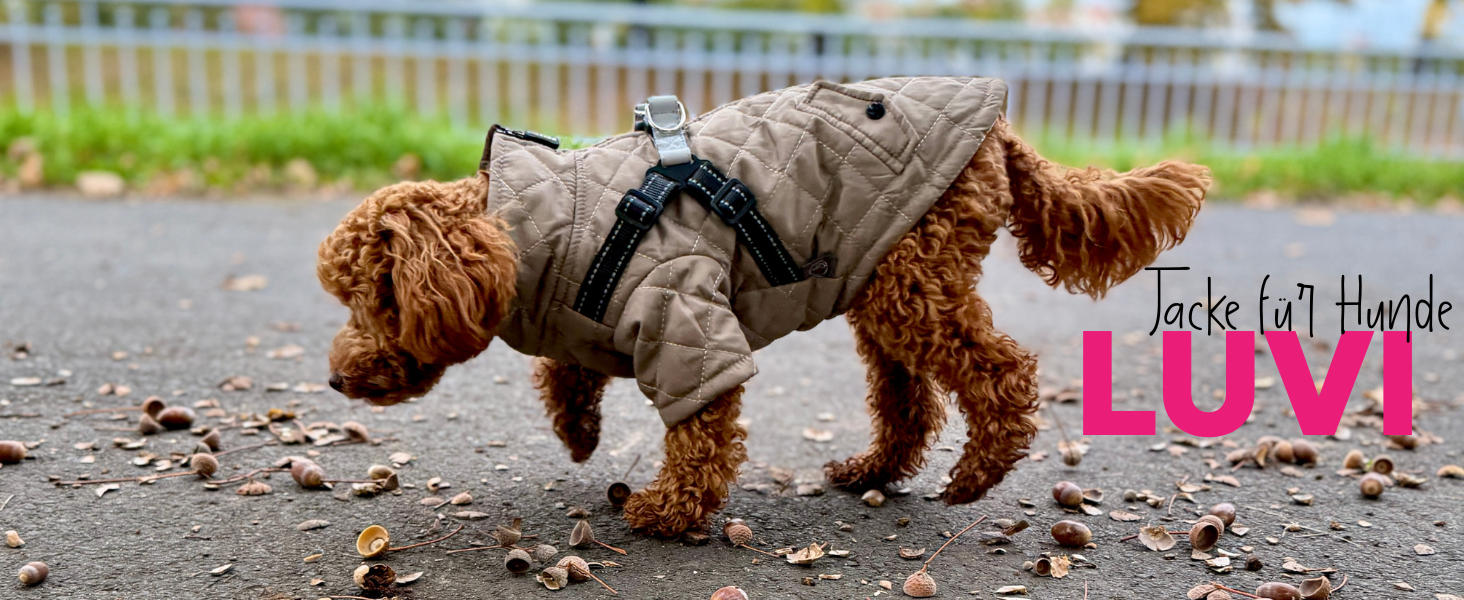Теплий водонепроникний зимовий пуховик для собак Lalzoo LUVI 2-в-1 з інтегрованим нашийником – для маленьких та середніх собак, світлодіодна куртка, бежевий, розмір S