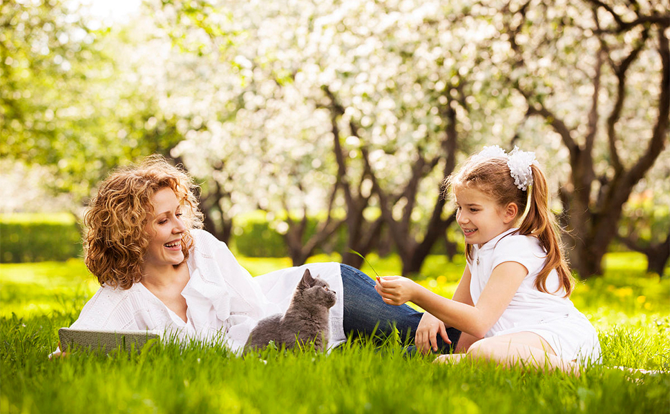 Переносний лежак-переноска для котів та собак X-ZONE, чорний, 44x28x28 см