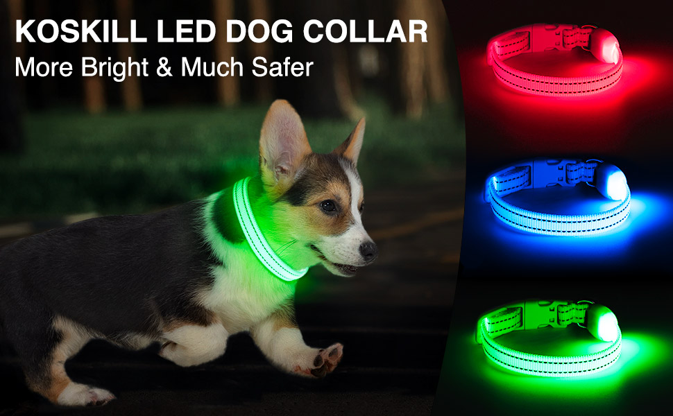 LED-нашийник для собак KOSKILL: перезарядна модель USB, водонепроникний, яскравий, регульований, для середніх та великих собак (зелений, рожевий)