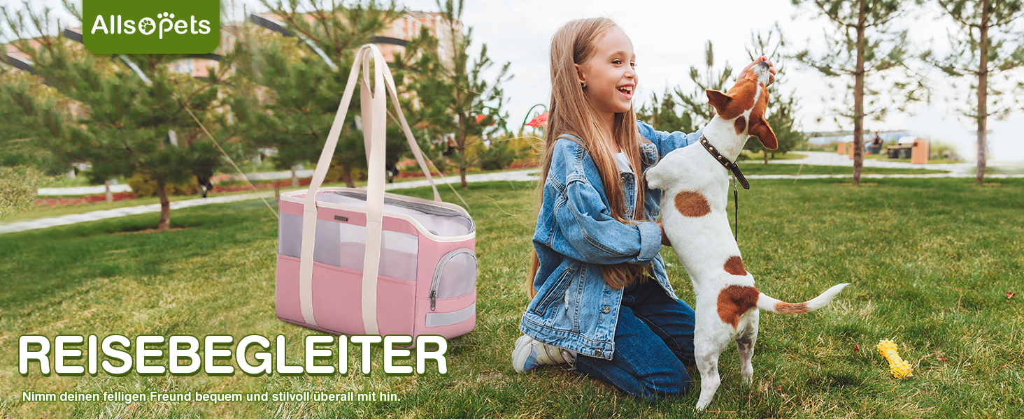 М'яка переноска для собак та котів ALLSOPETS, складана, дихаюча, з поводком, легка, для подорожей, до ветеринара, на вулицю (небесно-блакитний)