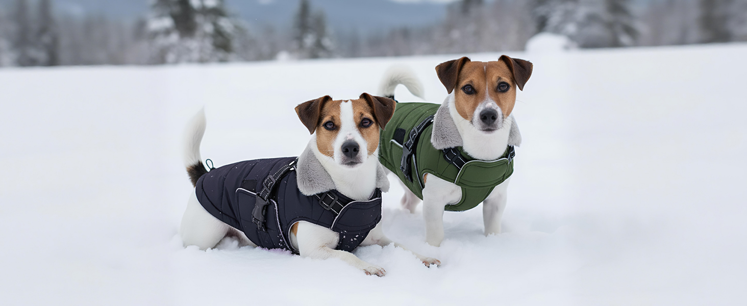 Зимовий теплий накид для собак ASENKU (S, M, L, XL) – водонепроникний, вітронепроникний, з відбиваючими елементами, з нагрудником, для маленьких, середніх та великих собак, зелений