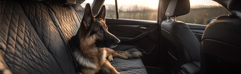 Захист для заднього сидіння авто для собак - водовідштовхувальний, стійкий до подряпин, нековзний, миючий - матеріал Oxford - захист для собак в автомобілі з бічним захистом - 141x134 см - підходить для SUV та легкових автомобілів DElightX